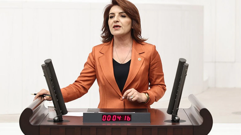 CHP’li Gülcan Kış: “Bu Yasa Tam Bir Doğa Talanıdır, Geçit Vermeyeceğiz!”