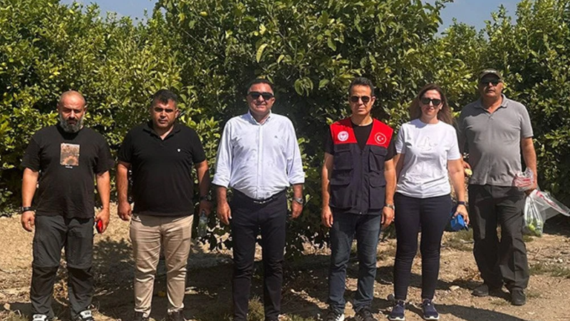 Çiftçiler Birliği Başkanı Mutlu Doğru’dan Narenciye Açıklaması