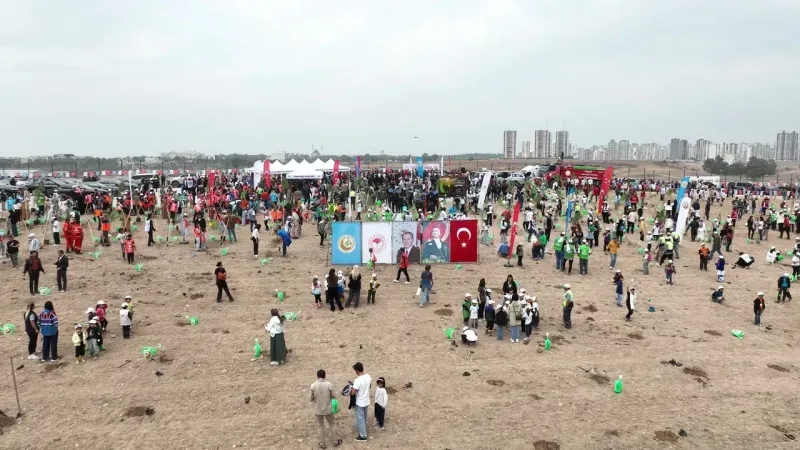 ATÜ Kampüsü Yeşile Bürünüyor