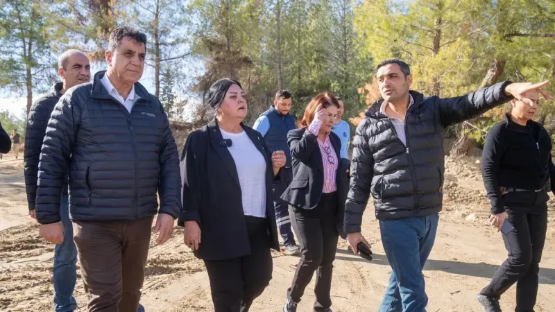 Sokak Hayvanları İçin Örnek Proje: Seyhan’da 23 Dönümlük Doğal Alan