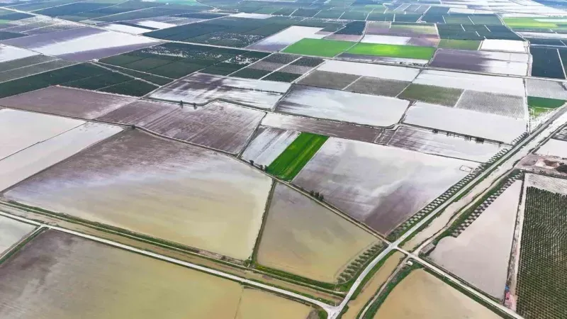 Adana’da Tarım Alarmı! Binlerce Dönüm Arazi Zarar Gördü